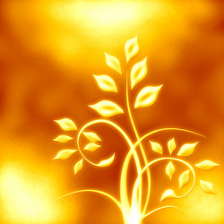 Similar image 1469205