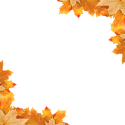 Similar image 1469224