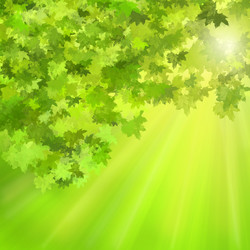 Similar image 1469277