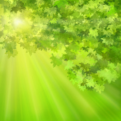 Similar image 1469278