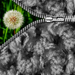 Similar image 1469299