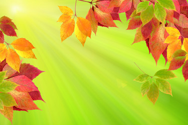 Similar image 1469541