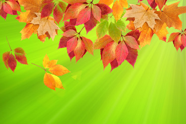 Similar image 1469586