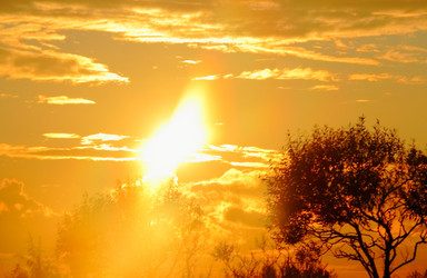 Similar image 1469604