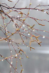 Similar image 1469610