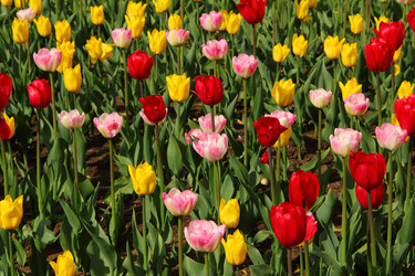 Similar image 1469612