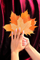 Similar image 1469617