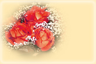 Similar image 1469621