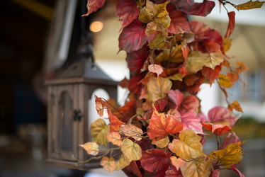 Similar image 1469705