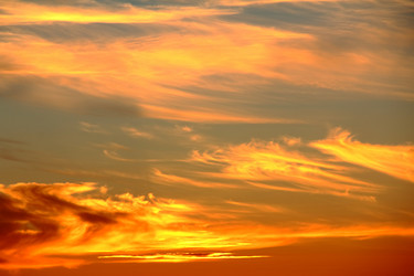 Similar image 1469725