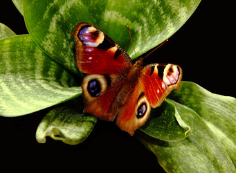 Similar image 1469726