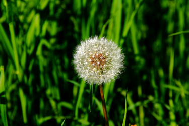 Similar image 1469730