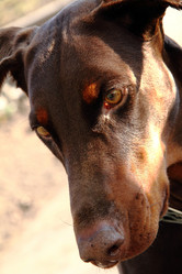 Similar image 1469731