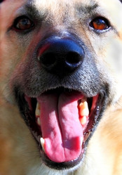 Similar image 1469732