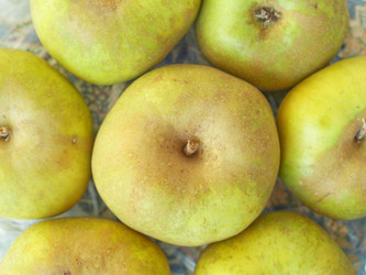 Similar image 1469739