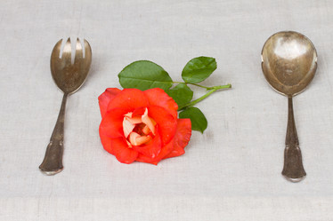 Similar image 1469774