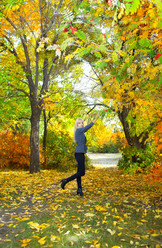 Similar image 1469859