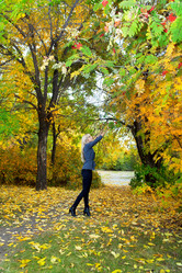 Similar image 1469860