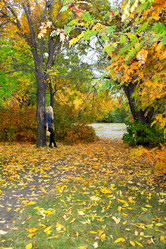 Similar image 1469861