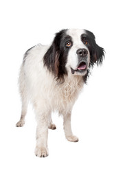 Similar image 1470046