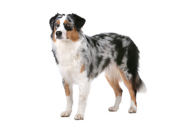 Similar image 1470081