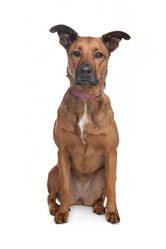 Similar image 1470090