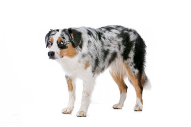 Similar image 1470091