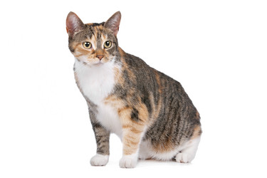 Similar image 1470096