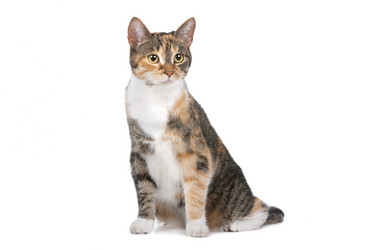 Similar image 1470100