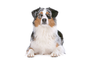 Similar image 1470109