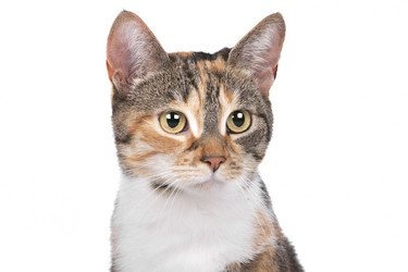 Similar image 1470110