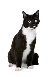 Similar image 1470116