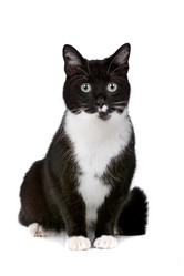 Similar image 1470119