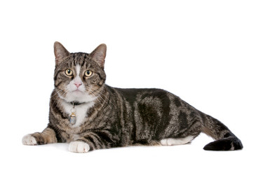 Similar image 1470123