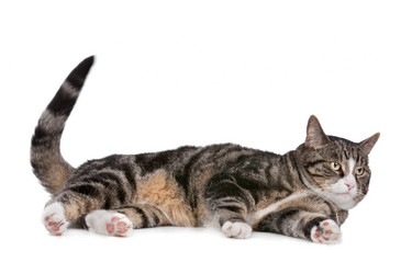 Similar image 1470124