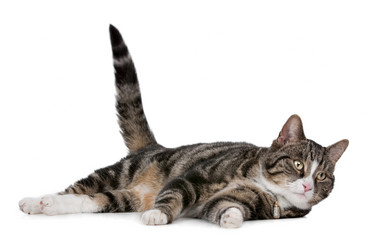 Similar image 1470129