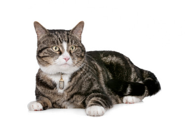 Similar image 1470130