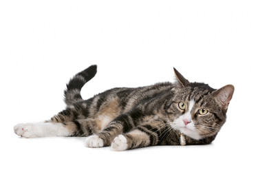 Similar image 1470131