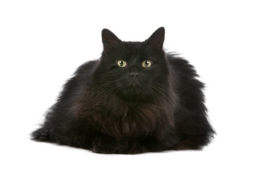 Similar image 1470146