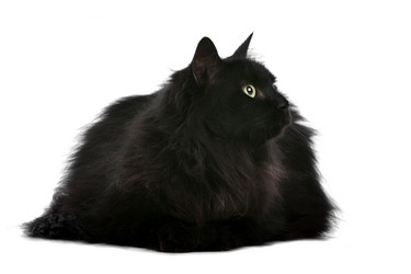 Similar image 1470148