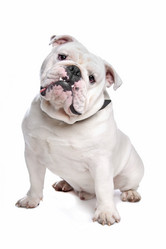 Similar image 1470160