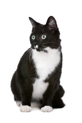 Similar image 1470175