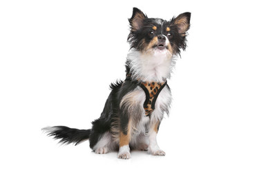 Similar image 1470176