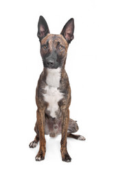 Similar image 1470187