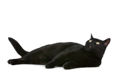 Similar image 1470188