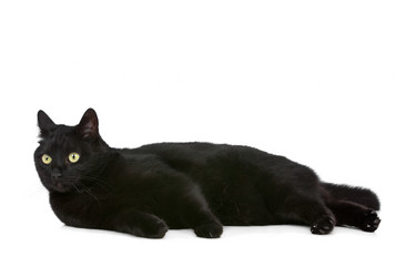 Similar image 1470191