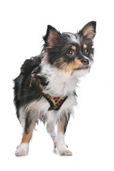 Similar image 1470206