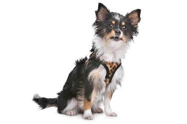 Similar image 1470211