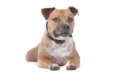 Similar image 1470269