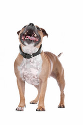 Similar image 1470271